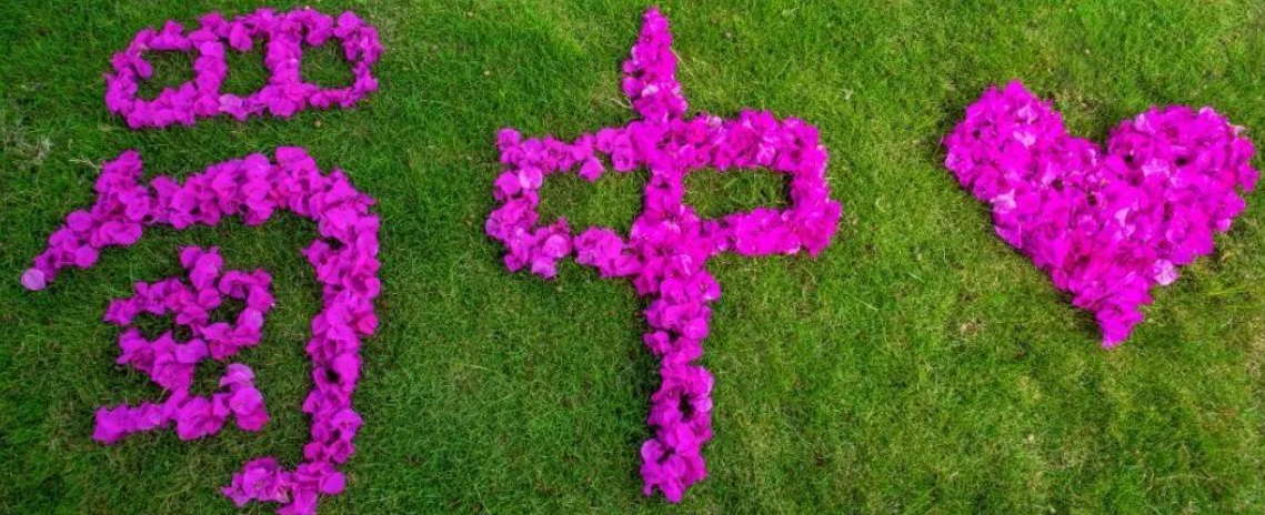 鉴黑担保网(jhdbw)·最具权威唯一维权担保平台